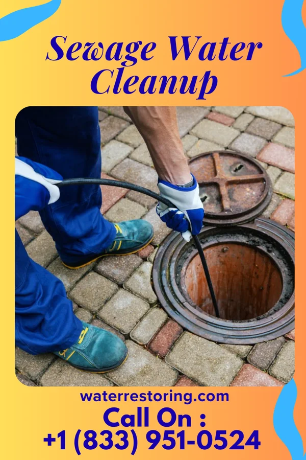 Sewage Water Cleanup in Mayflower Village, CA